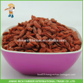 Export To Russia Ningxia High Quality Dried Goji Berry